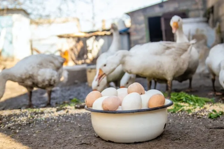 How law firms are winning new work in a changed world